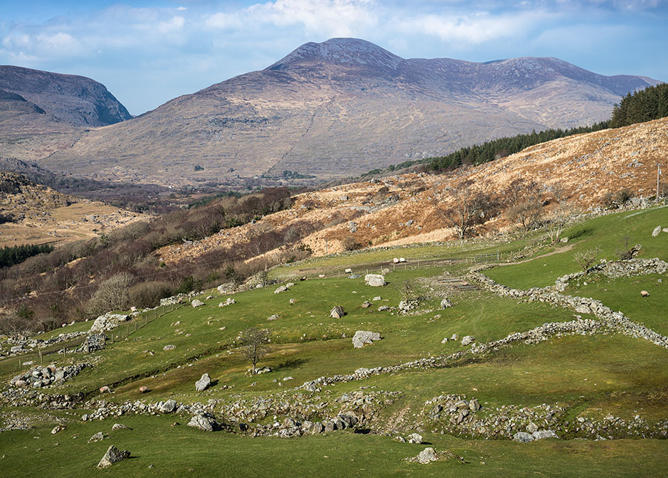 /product//sheep-pastures-ring-of-kerry-3/