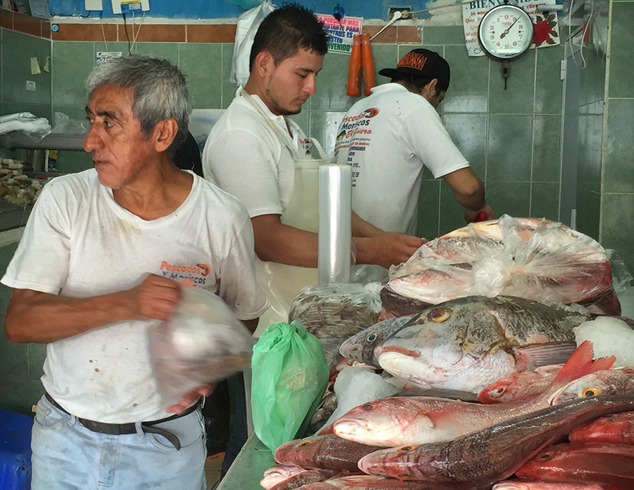 /product//fish-market-puerto-vallarta/