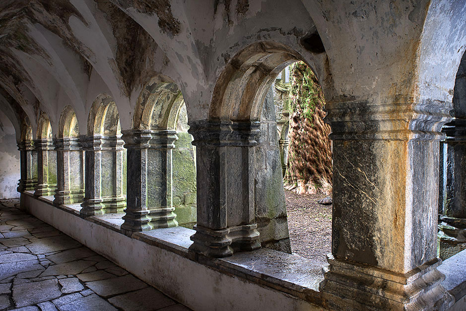 /product//cloister-muckross-friary/